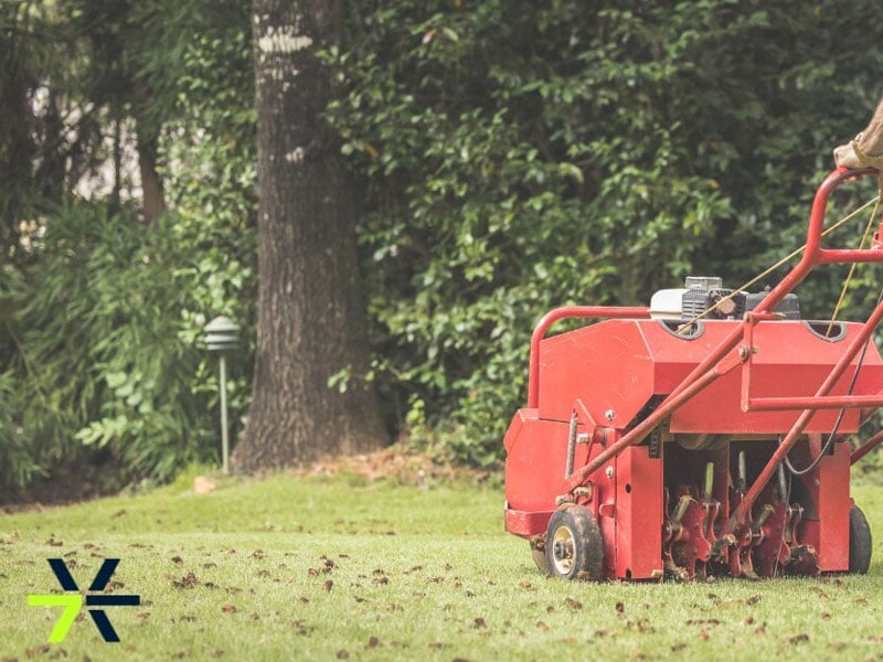 The Importance of Fall Aeration and Overseeding